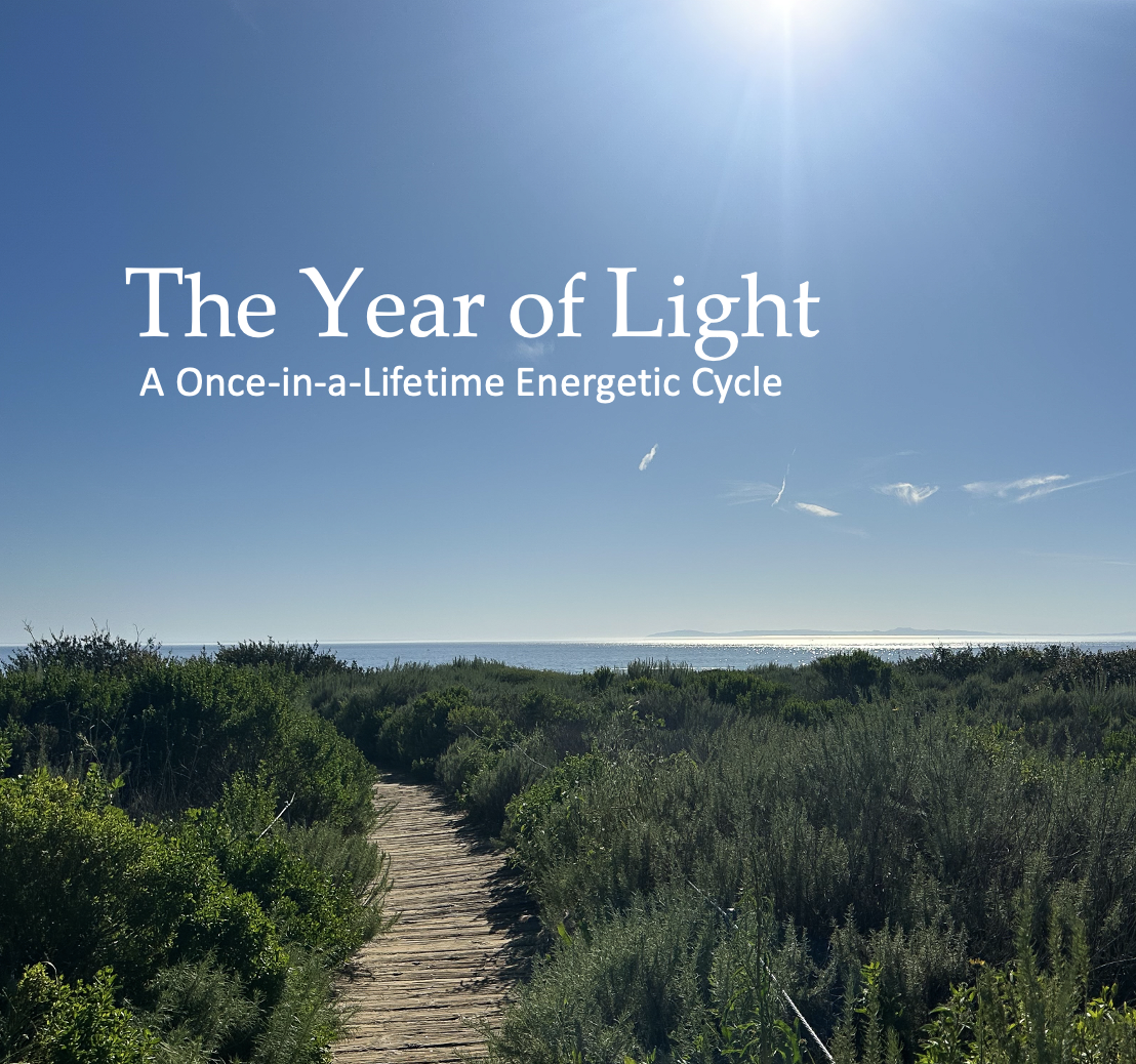 Screenshot 2026-03-15 at 11.58.08.png