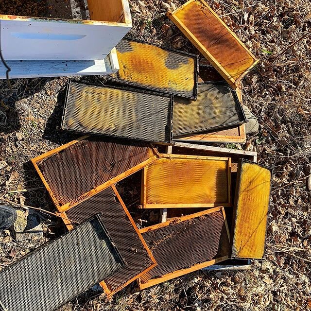 Cleaning up an abandoned bee hive - preparing for a package of 🐝 can hardly wait to create a new home for them !!!
.
.
#honeybees #beehive #honey #taylorcall #communitesoflight