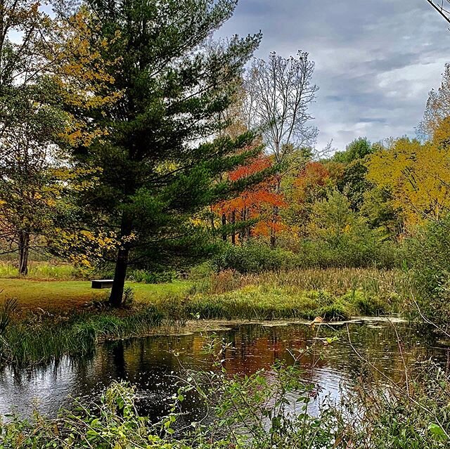 Autumn settling in-
.
.
.
#autumn #photo #landscapes #getoutthere #photooftheday #color #upstateny #nature #beauty