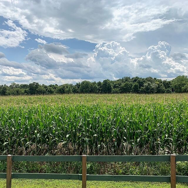 Days like this - .
.

#summer #landscapephotography #naturephotography #photooftheday #clouds #august #summer #upstateny #hudsonvalley #getoutside #alongtheroad #drive #beauty #view #light #farms