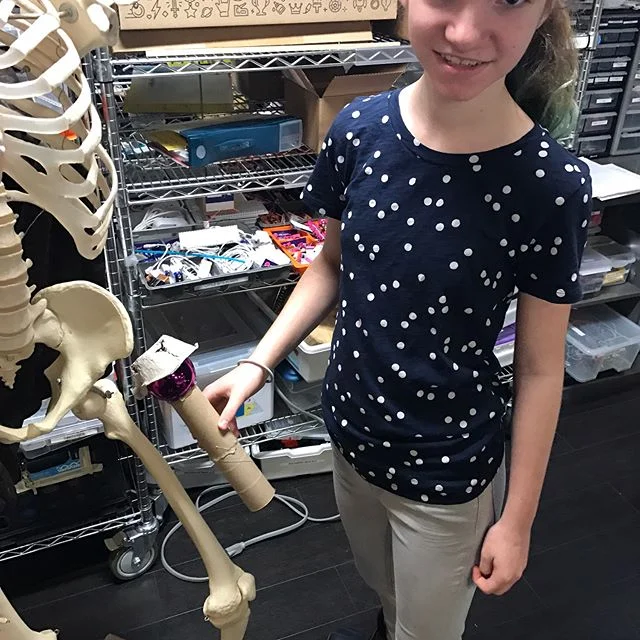 Sixth grade Science prototyping human body joints.