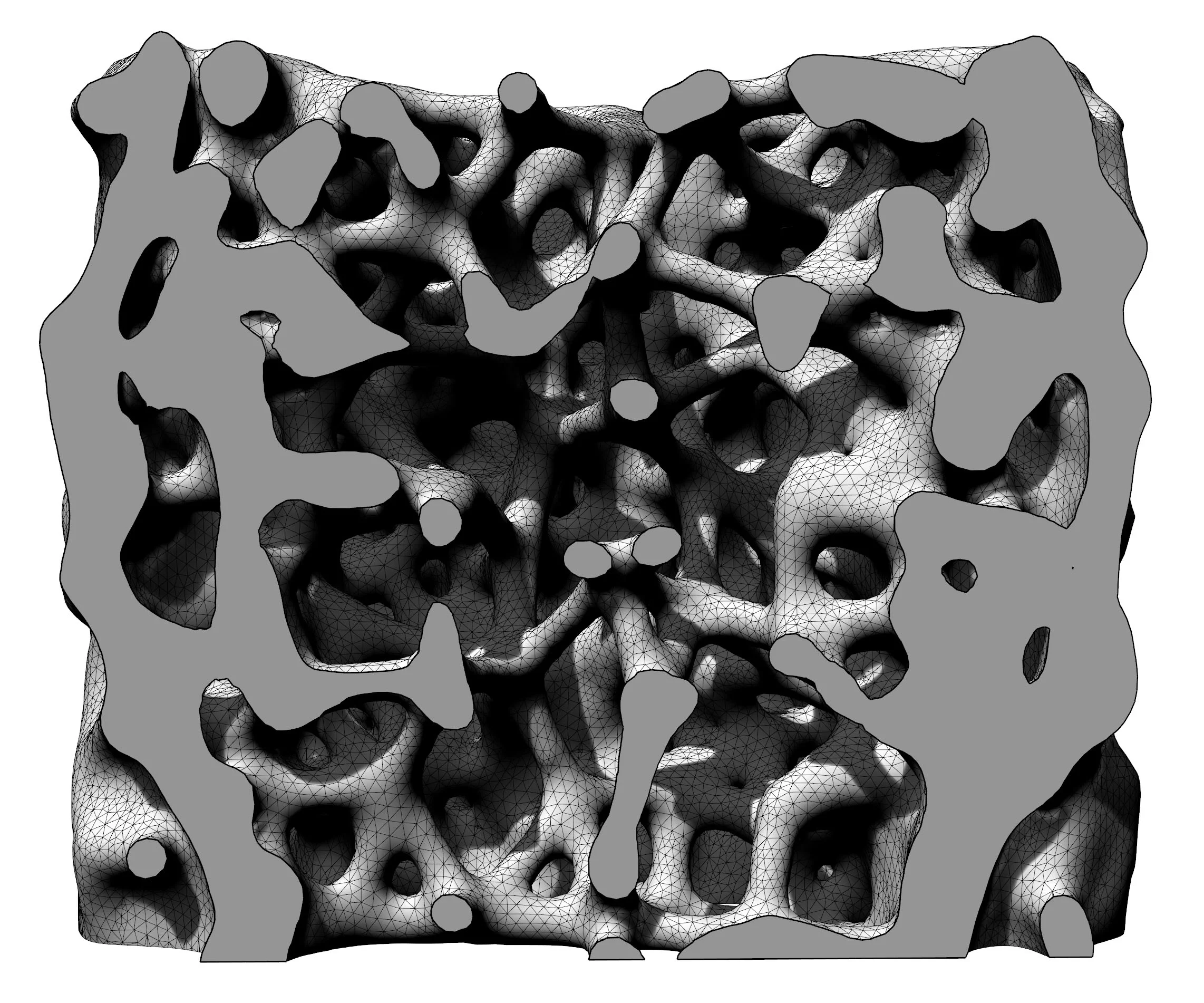 3D model showing high density in the hull and low density in the core