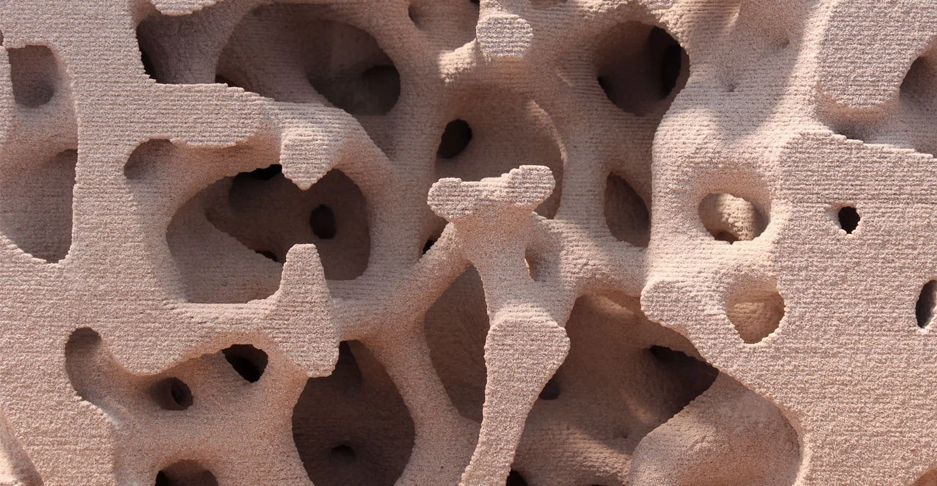 ccc header tessin crop.jpg