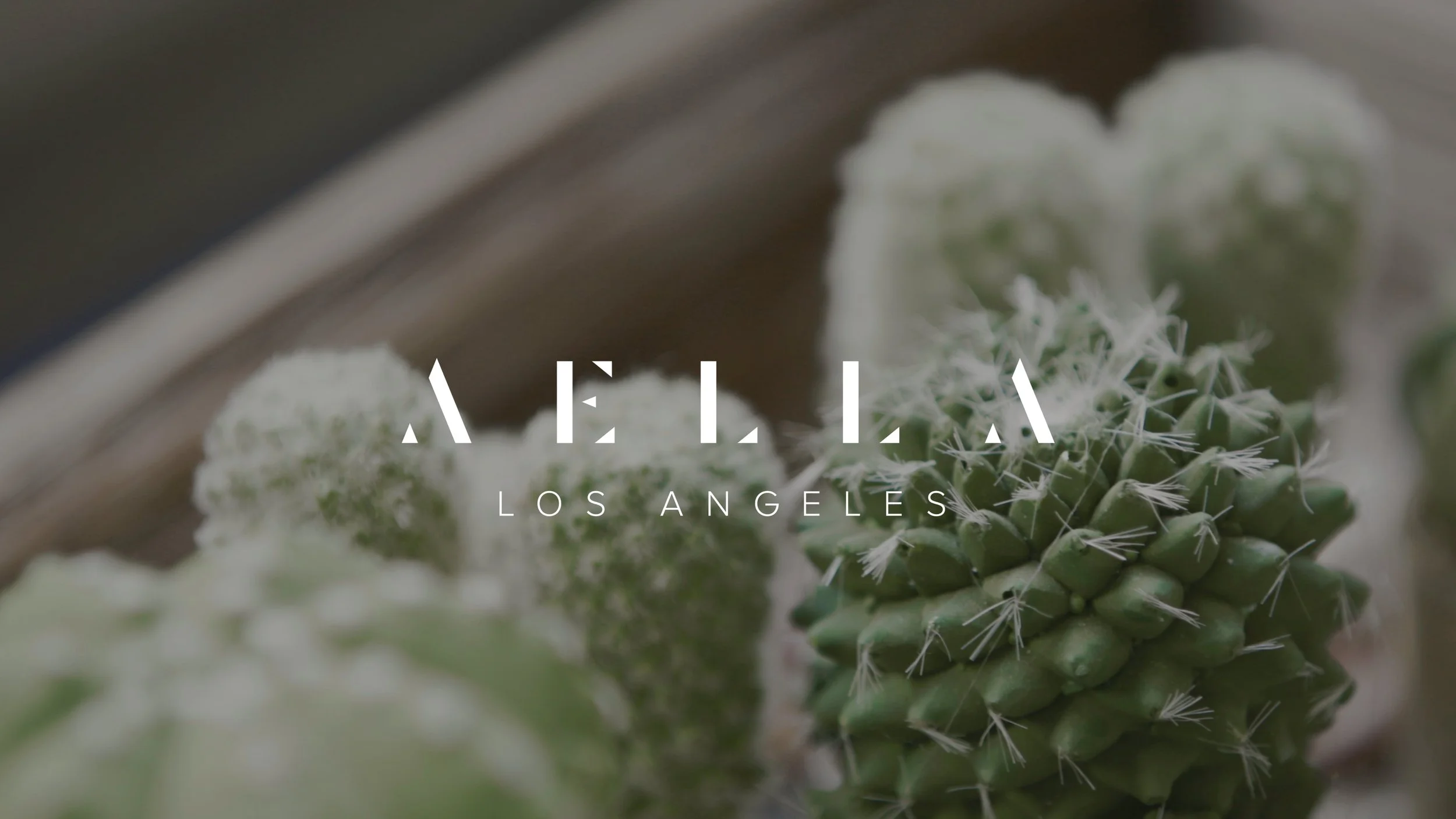AELLA CLOTHING