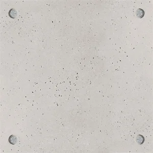 BS Native with SS.jpg