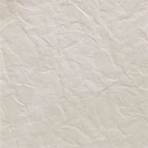 02_Arena Paper.jpg
