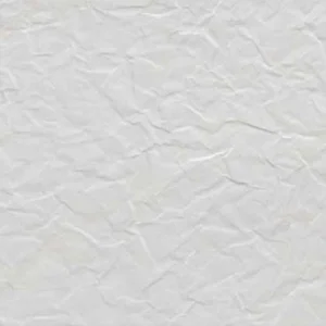 05_Blanco Paper.jpg