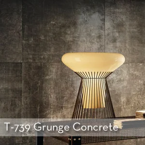 Thumbnail_T-739 Grunge Concrete.jpg