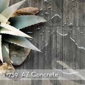 Thumbnail_T-739 AZ Concrete (1).jpg
