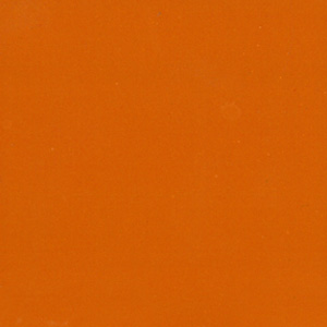 09_P53.jpg