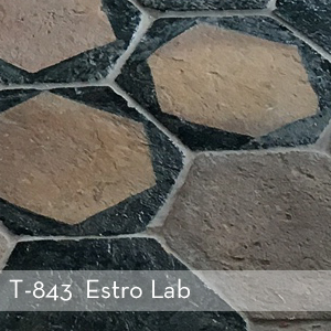Thumbnail_T-843_Estro Lab (2).jpg