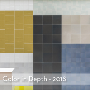 Color in Depth.jpg