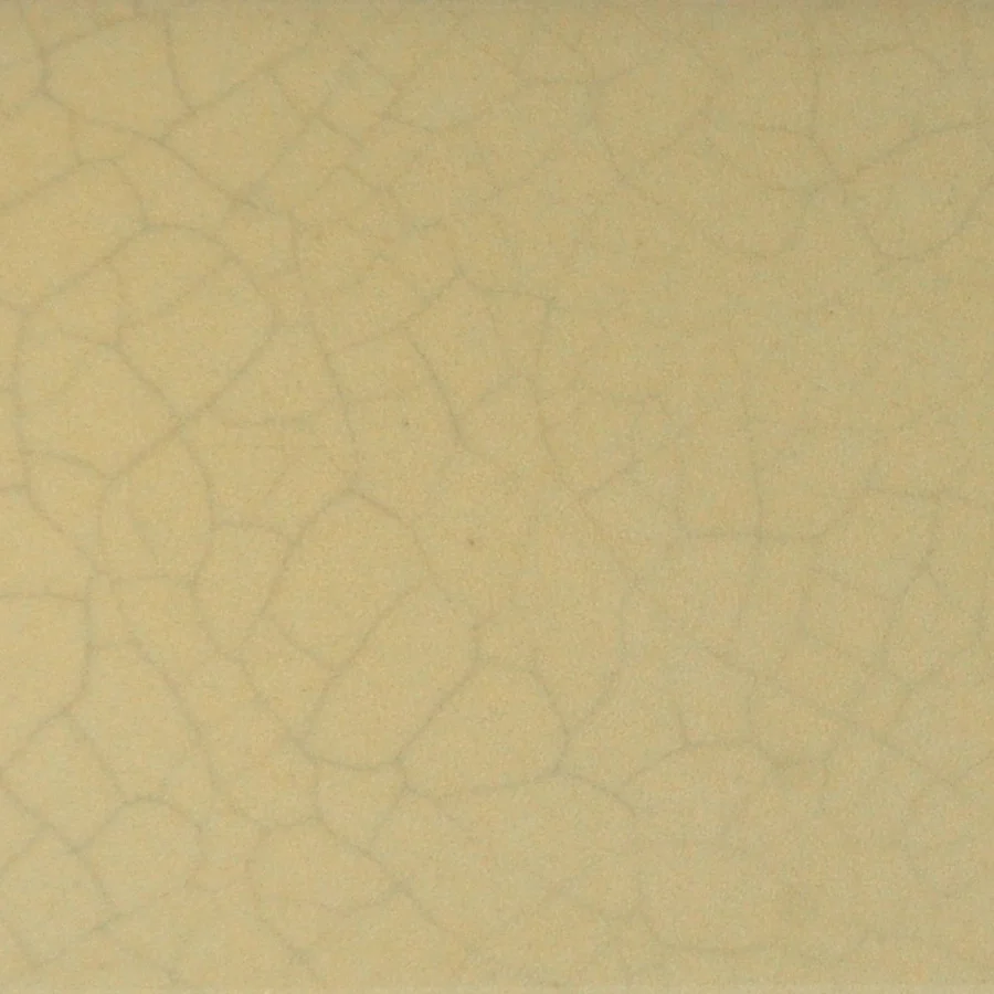 06_Buff RC-521-I(GC).jpg