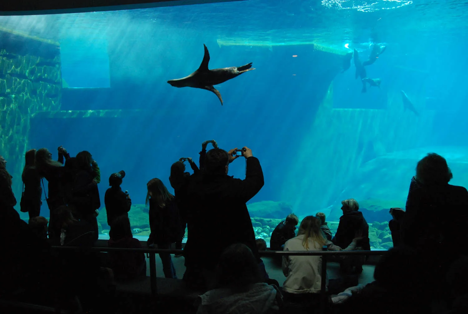 NUE Lagune Blauesalon 2.jpg