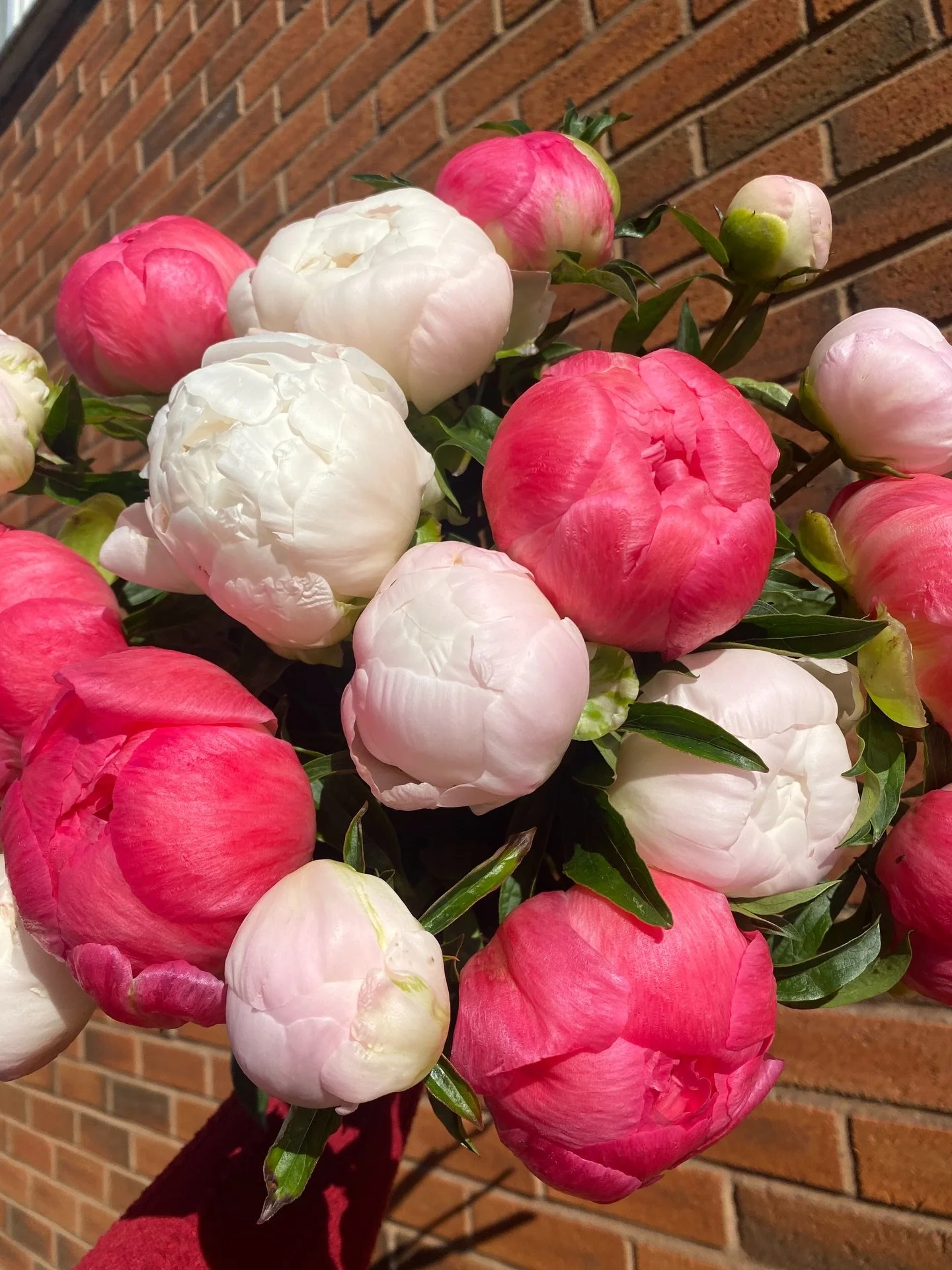 Peony season is finally here and we couldn&rsquo;t be more excited 🌸✨

To celebrate, we&rsquo;re hosting a Peonies and pastries workshop! 

📅 Saturday 9th May
🕥 10:30am &ndash; 12:00 noon

Join us to learn how to create a beautiful table centre us