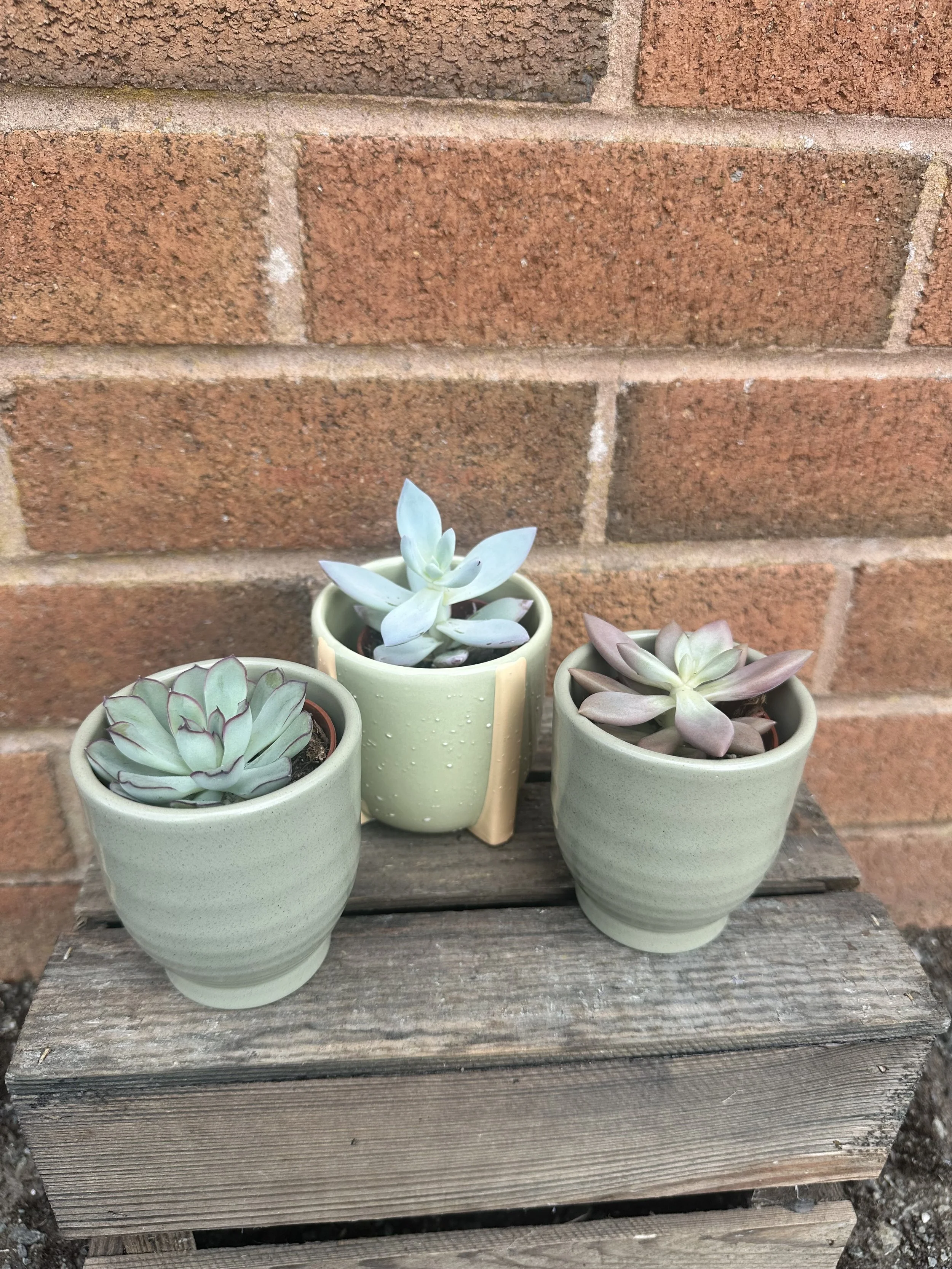 image1 (20).jpeg