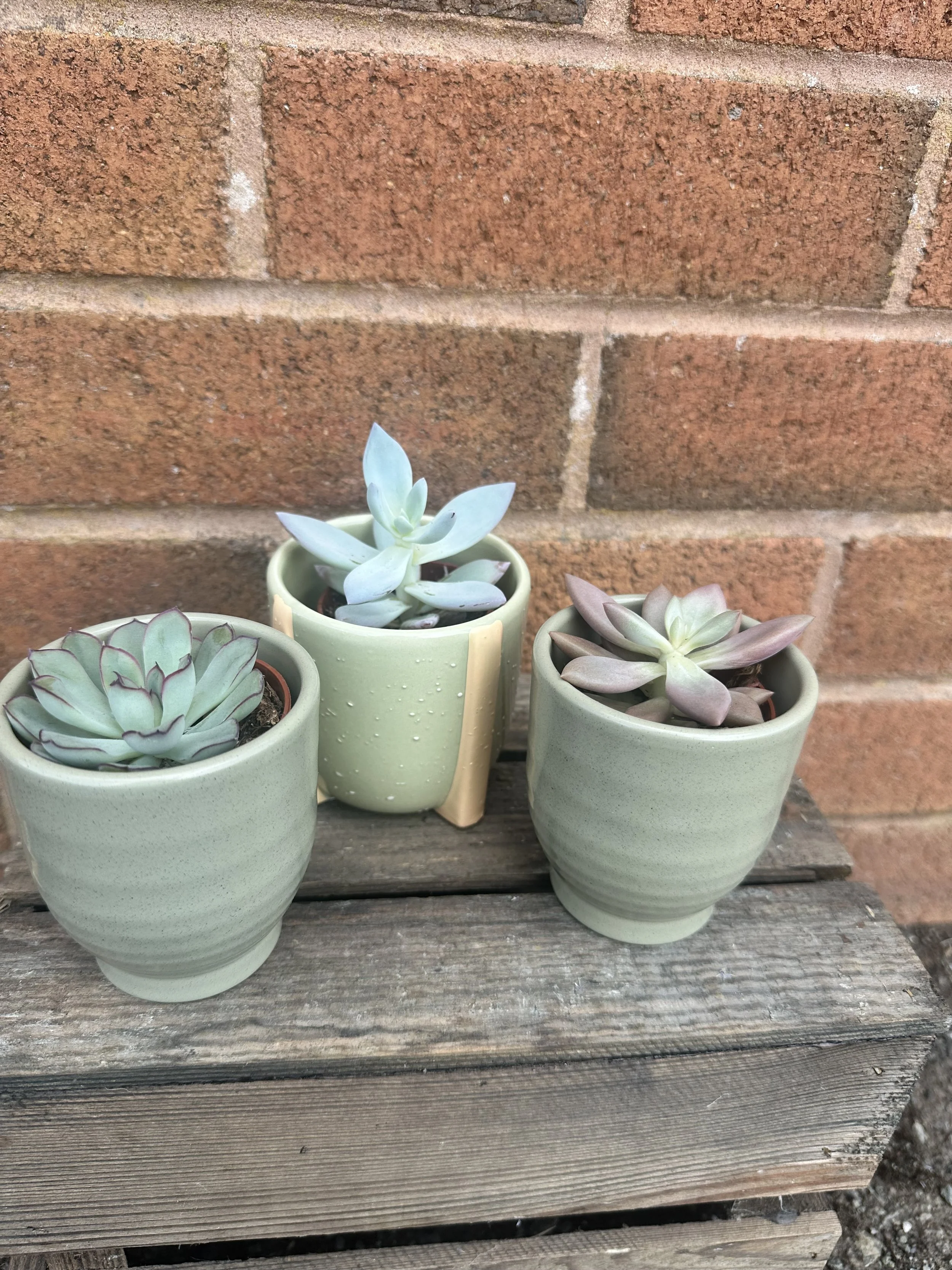image2 (16).jpeg