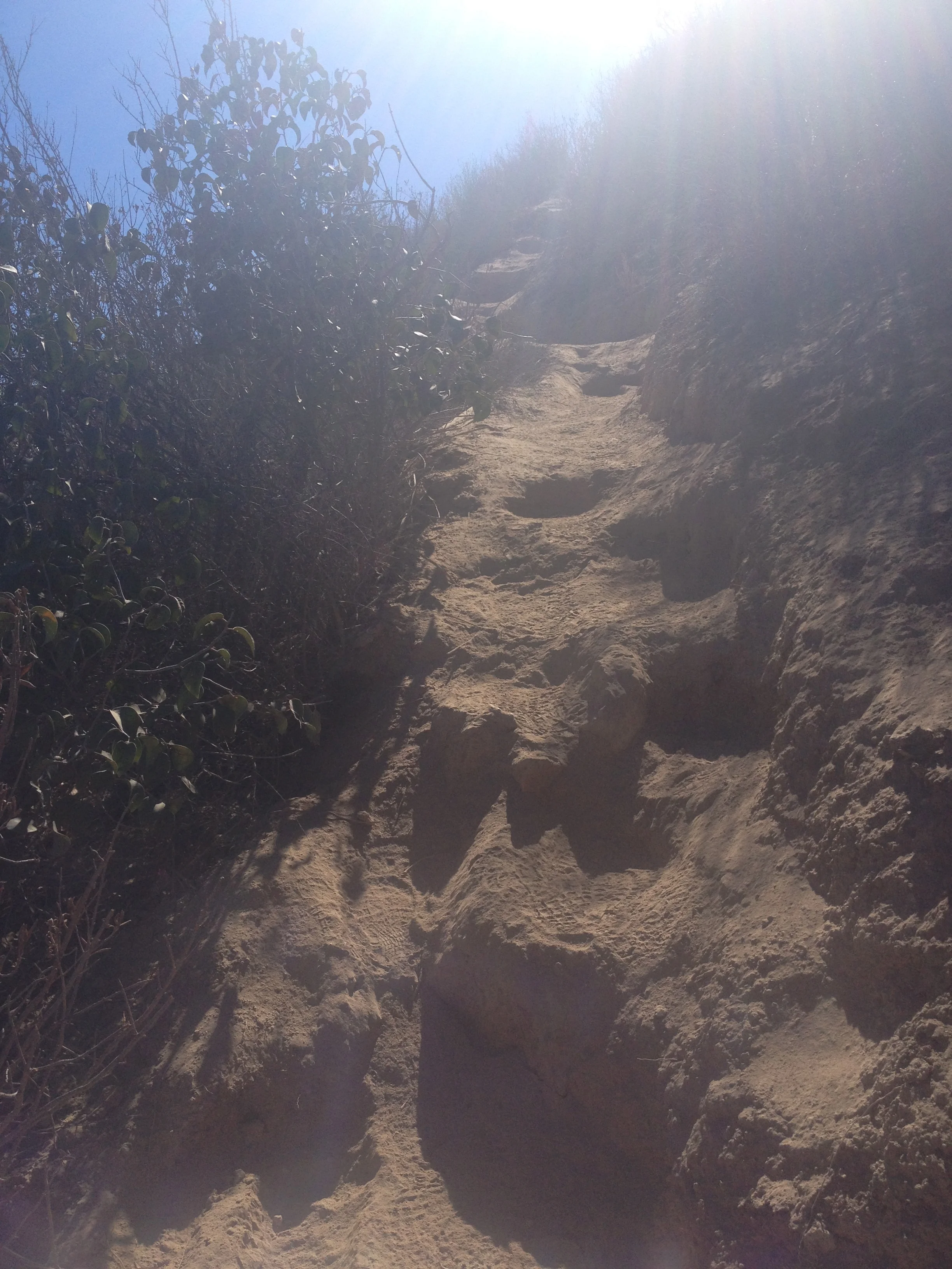 one of the trails that I did in the middle of the night (and in the heat)- super steep, super narrow. like mountain goats climbing.