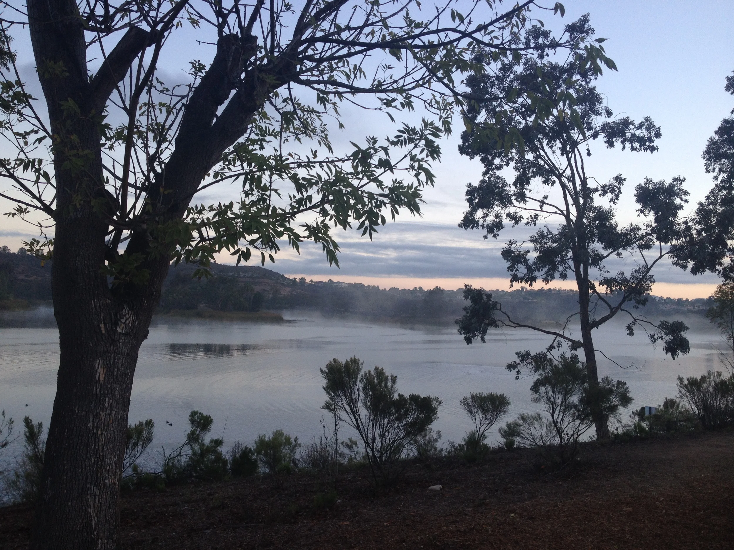 awww I love the lake. and I love all my regulars at the lake. built-in accountability.