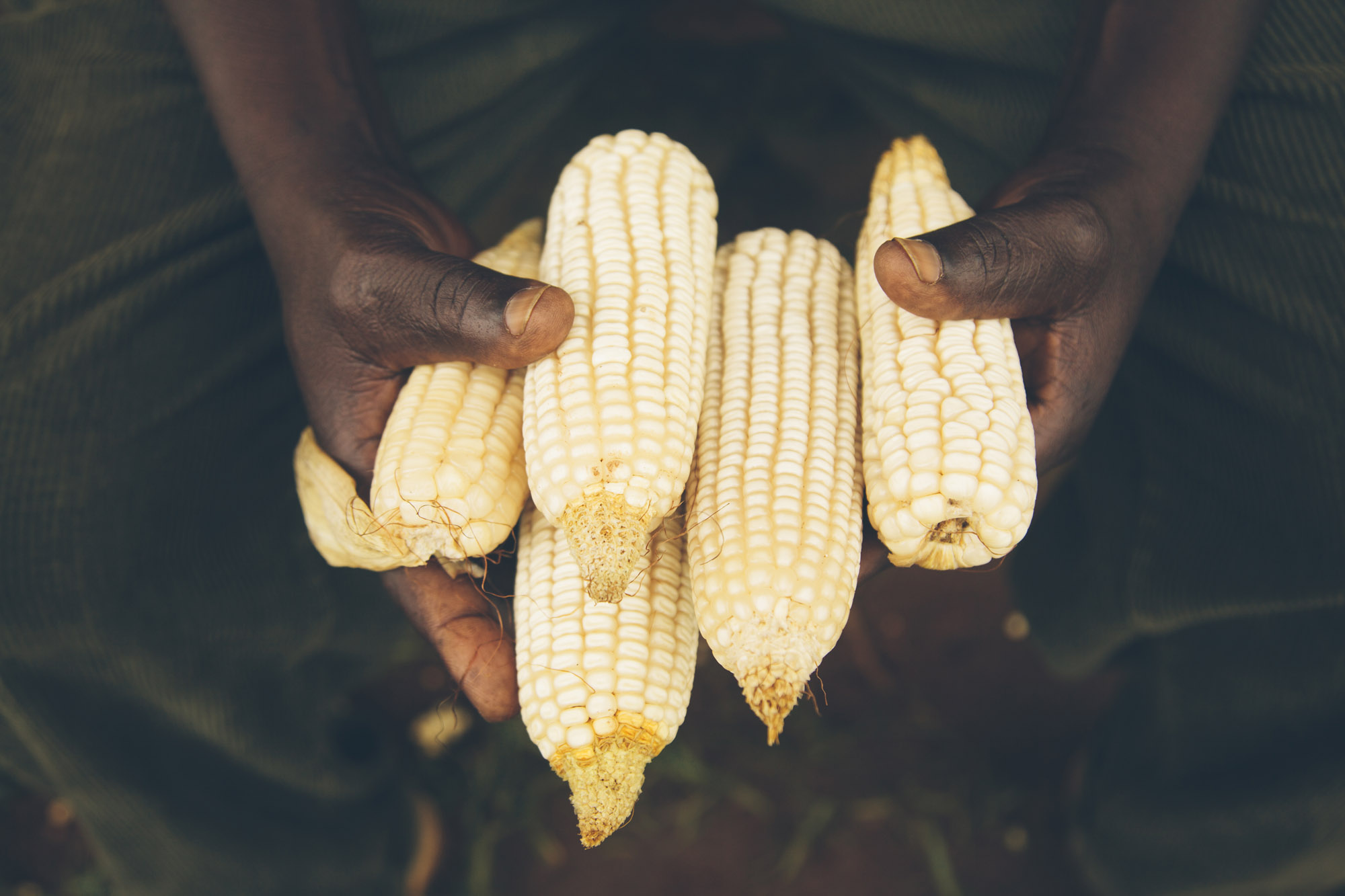 DCA-Uganda-NUAC-Smallholder-Farmer_MG_0388.jpg