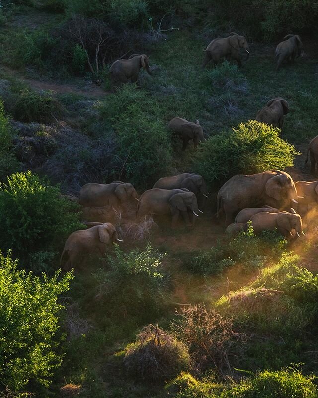 It&rsquo;s obligatory to wish you a Happy Earth Day, however at a time like this, it&rsquo;s hard to imagine the earth is actually &lsquo;Happy.&rsquo; We are in tough times. Many of you wonder why I post so many images of wildlife and wild spaces. W