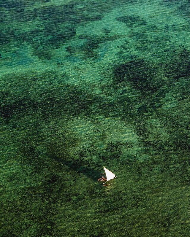 An outrigger canoe navigates the blue waters of the Kenya coastline. Extending 600km from the Somali to Tanzanian border, Kenya’s coastline has an almost continuous fringing reef that runs parallel to the coastline. These reefs are home to an a