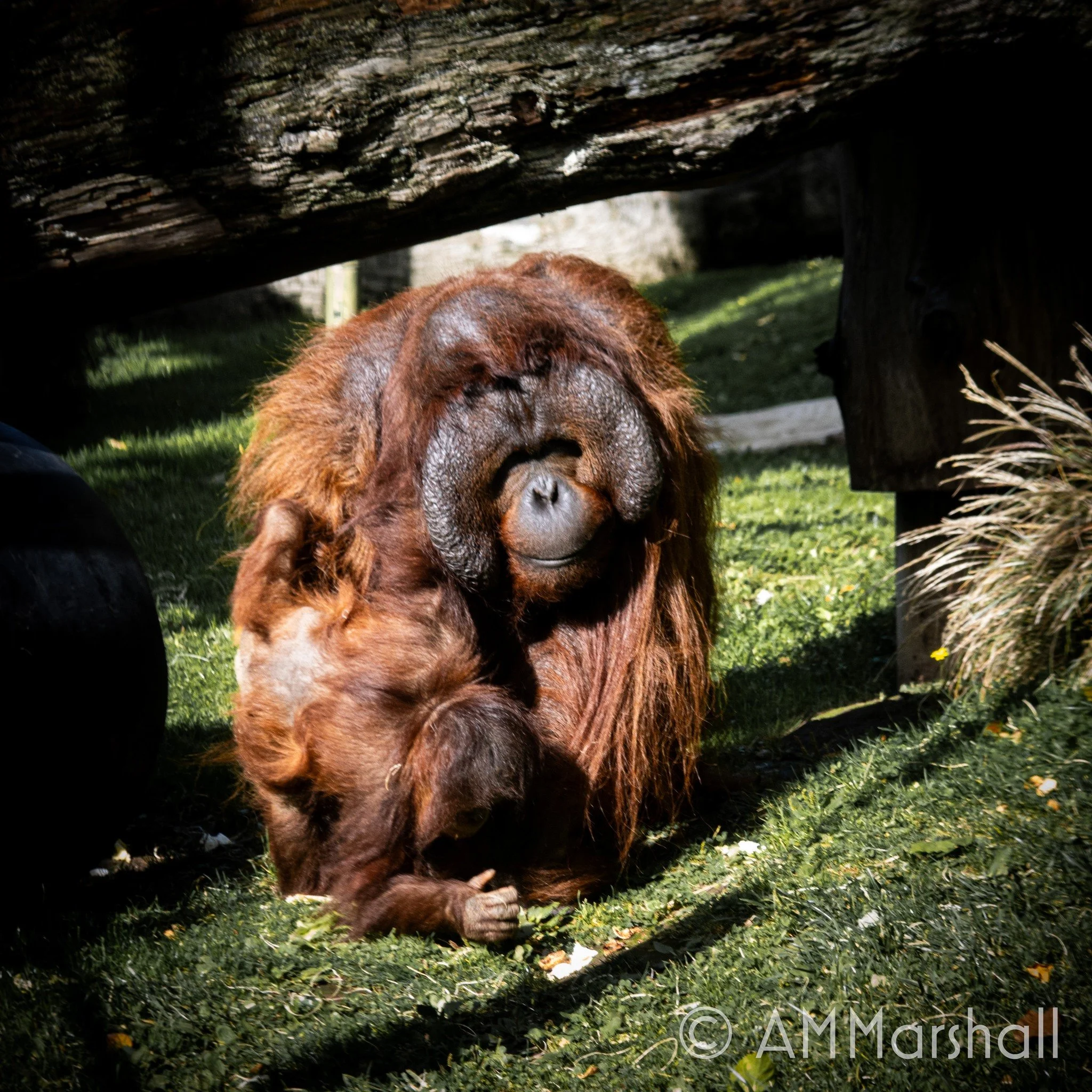 October 29, 2025
ISO 320 | 100mm | f/5.6 | 1/200