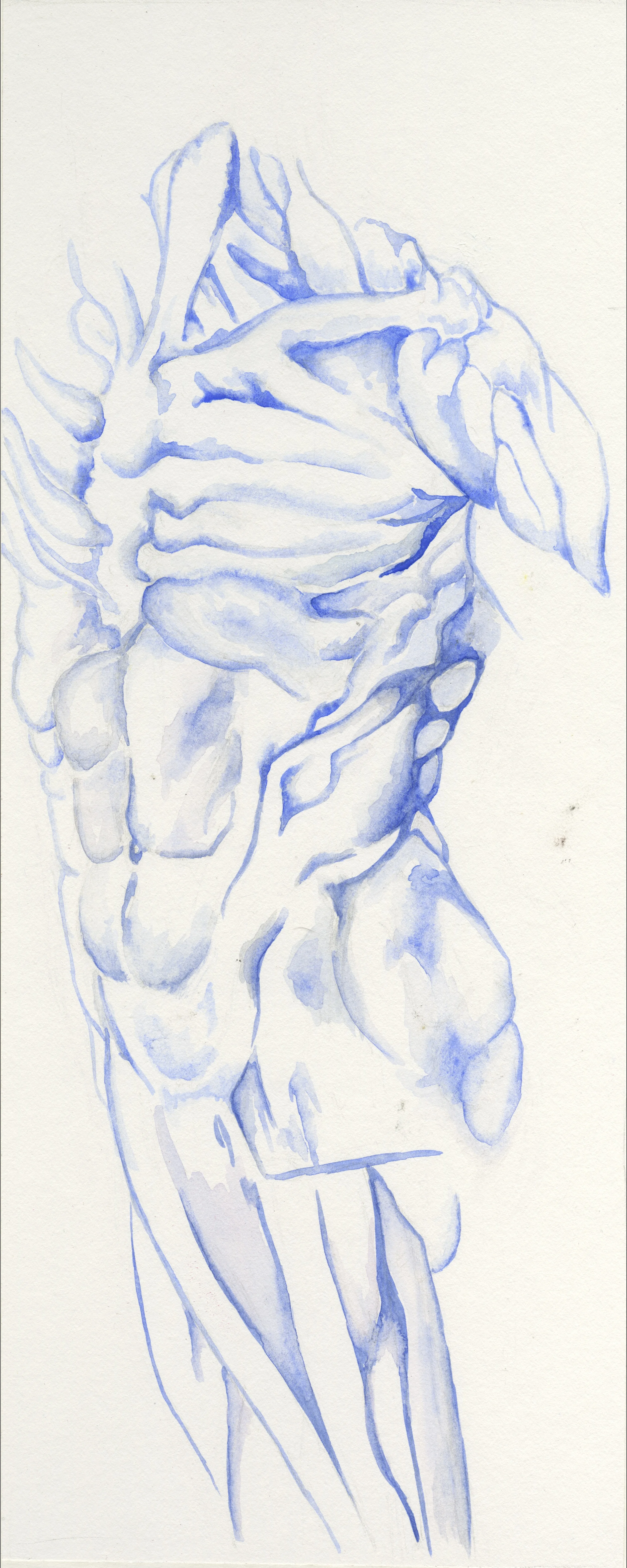 Bleached Blue Body WaterColor 6" x 10"
