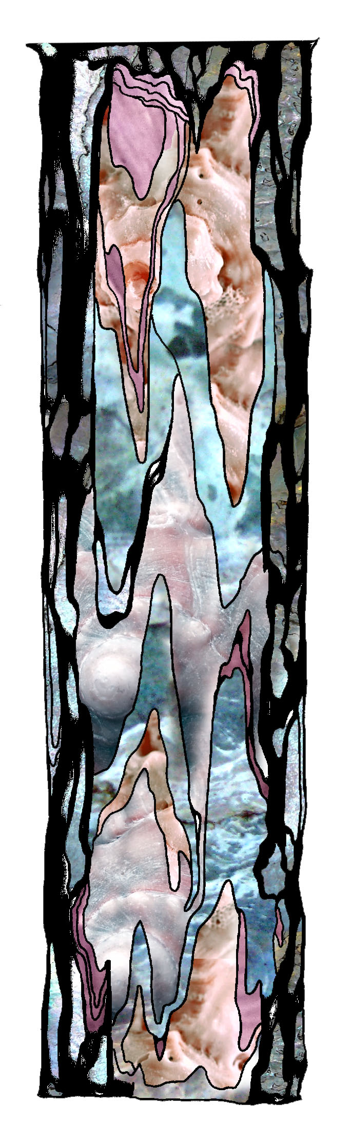 Cave Wall 1.jpg