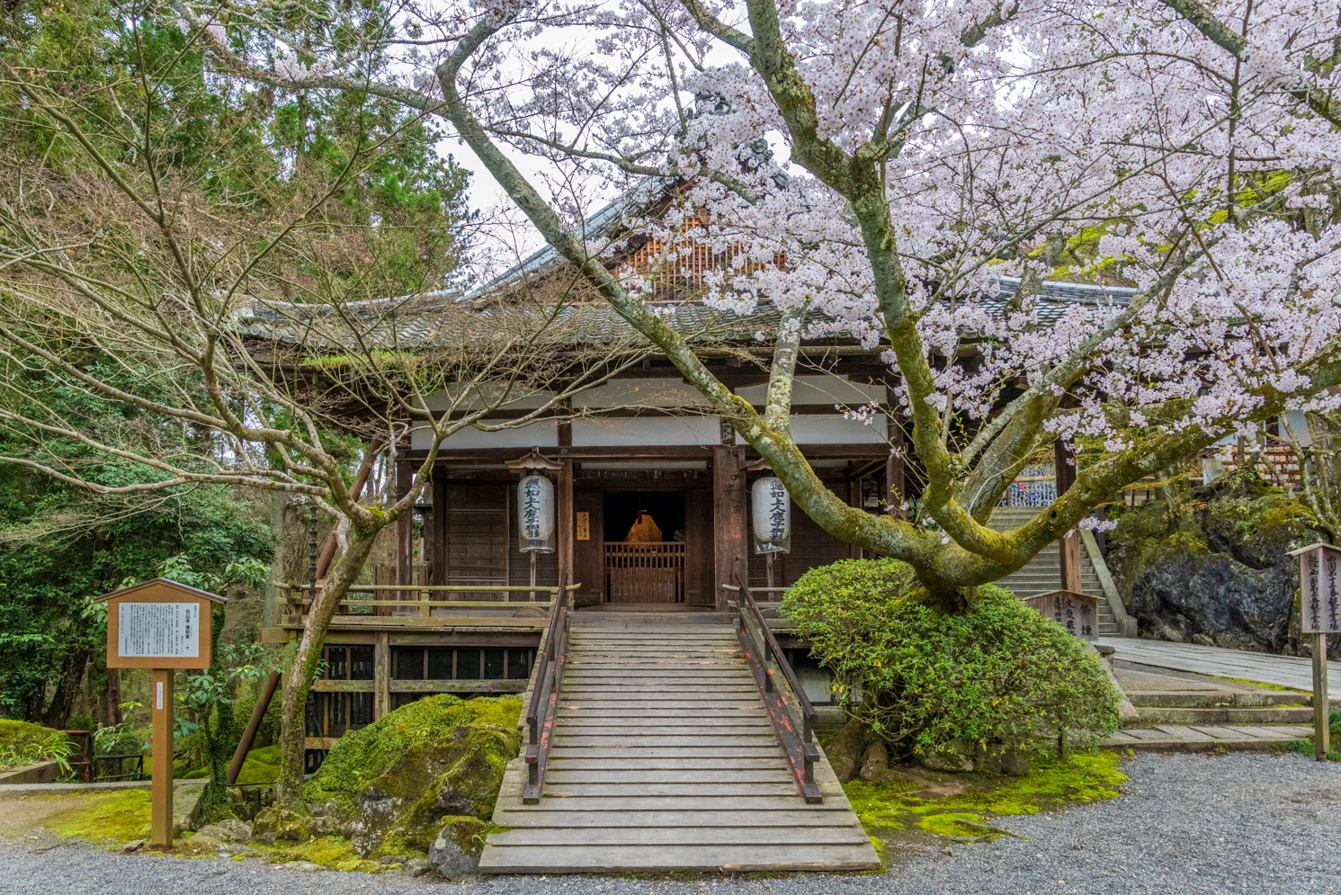 Family Trip to Japan - Part 7 - Ishiyama-dera