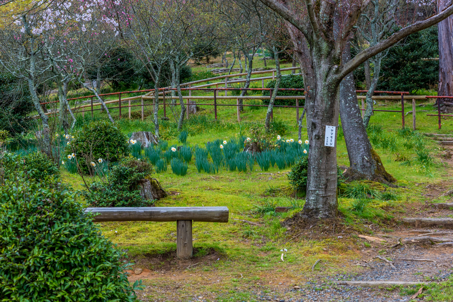 Family Trip to Japan - Part 7 - Ishiyama-dera