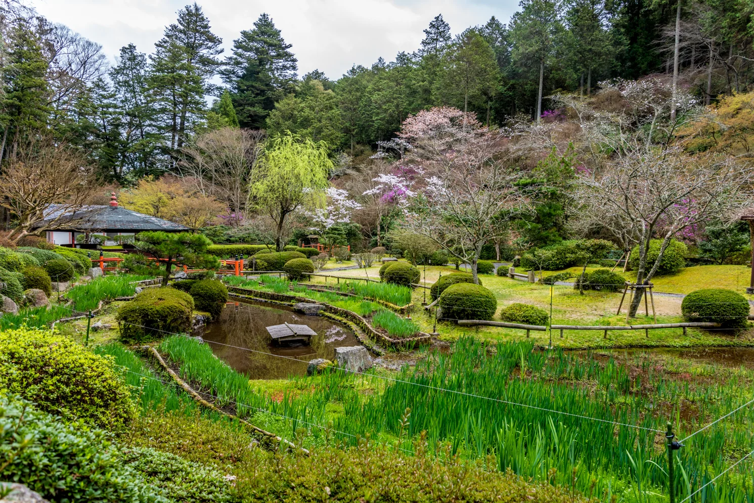 Family Trip to Japan - Part 7 - Ishiyama-dera