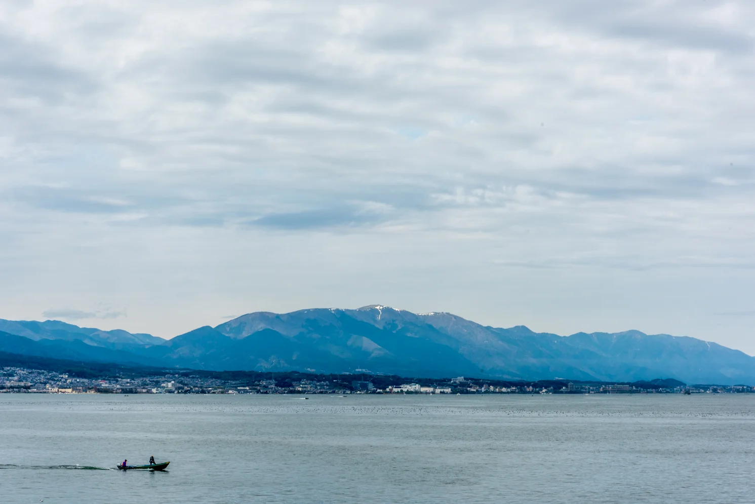 _DSC8442.jpg