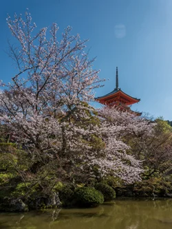 Family Trip to Japan - Part 6 - Kyoto