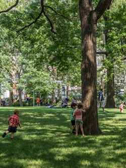 Summer Fun At Madison Square Park