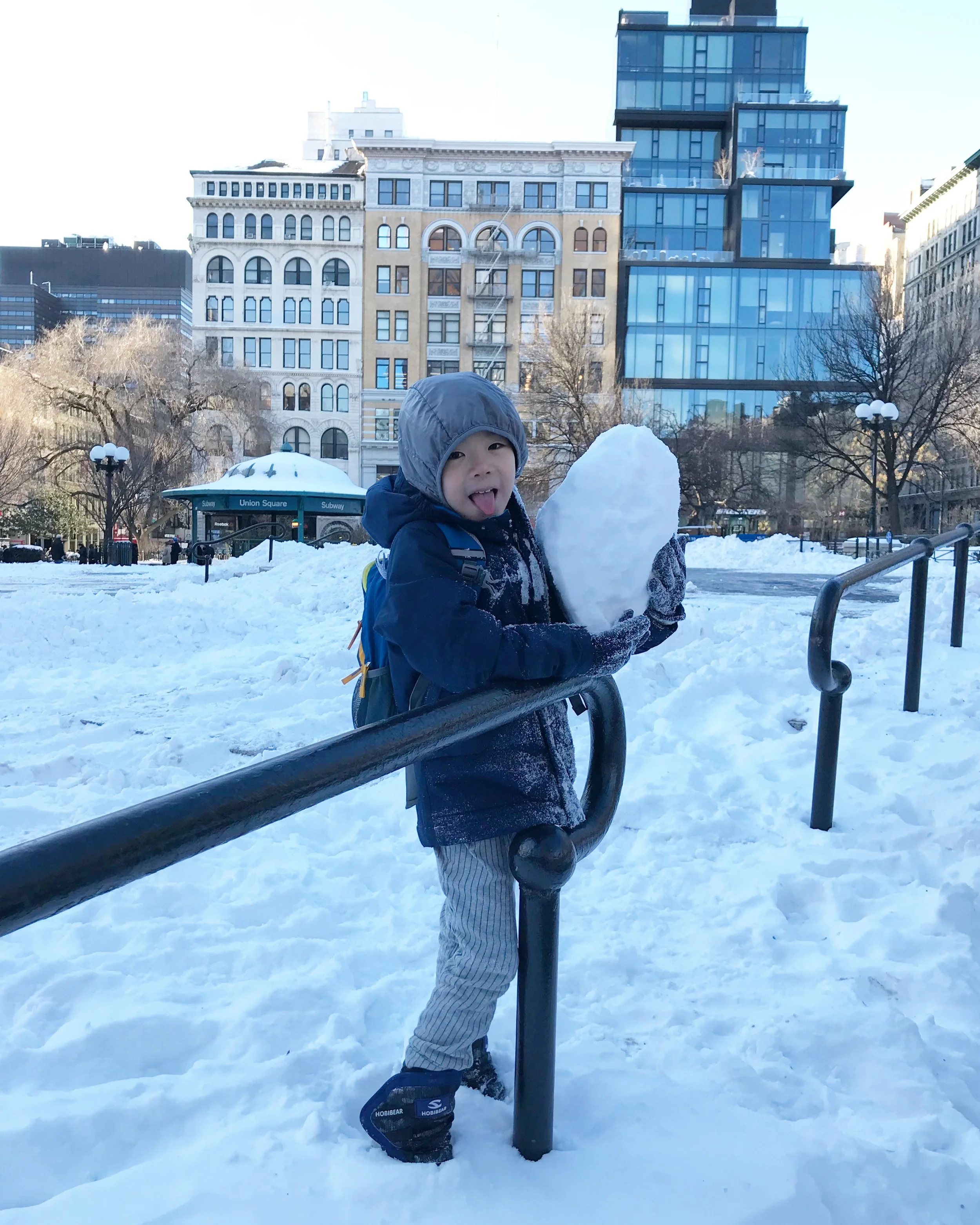 Snow Storm In NYC-2018 Winter - ニューヨーク2018年最初の大雪