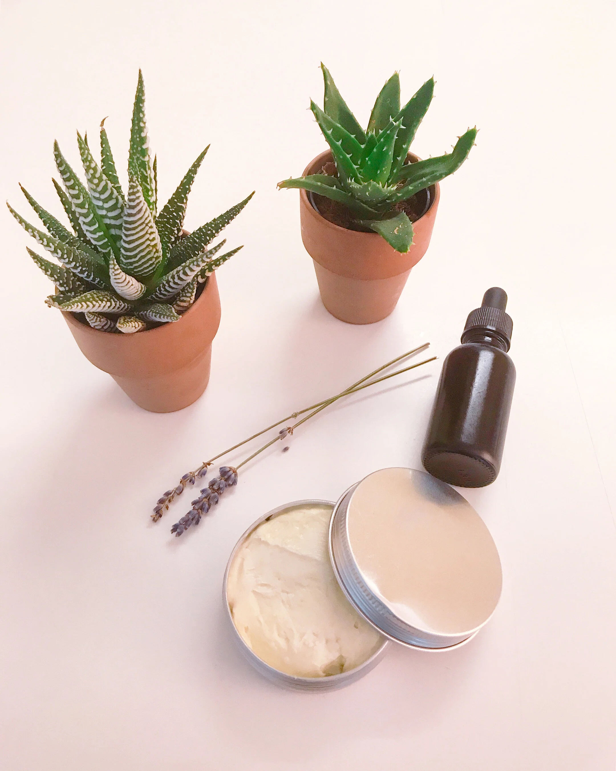 DIY Shea Butter ＋　Matcha Beauty Butter シアバターと抹茶を使ったボディーバターの作り方