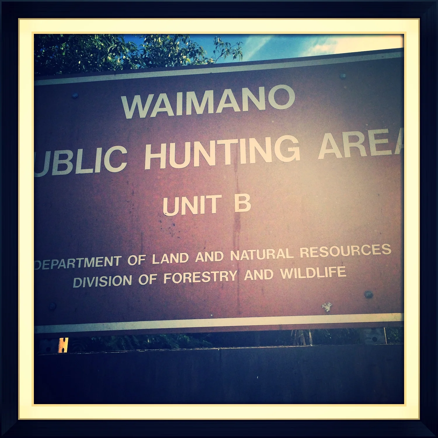 My Local Bow Hunting Grounds 2014