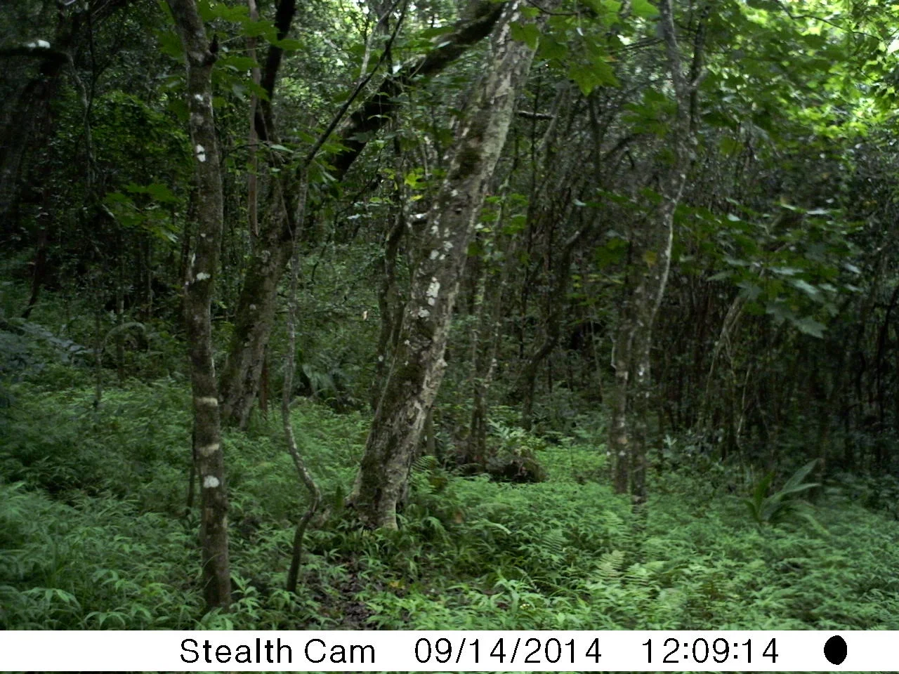 Who Knew There Was A Learning Curve?