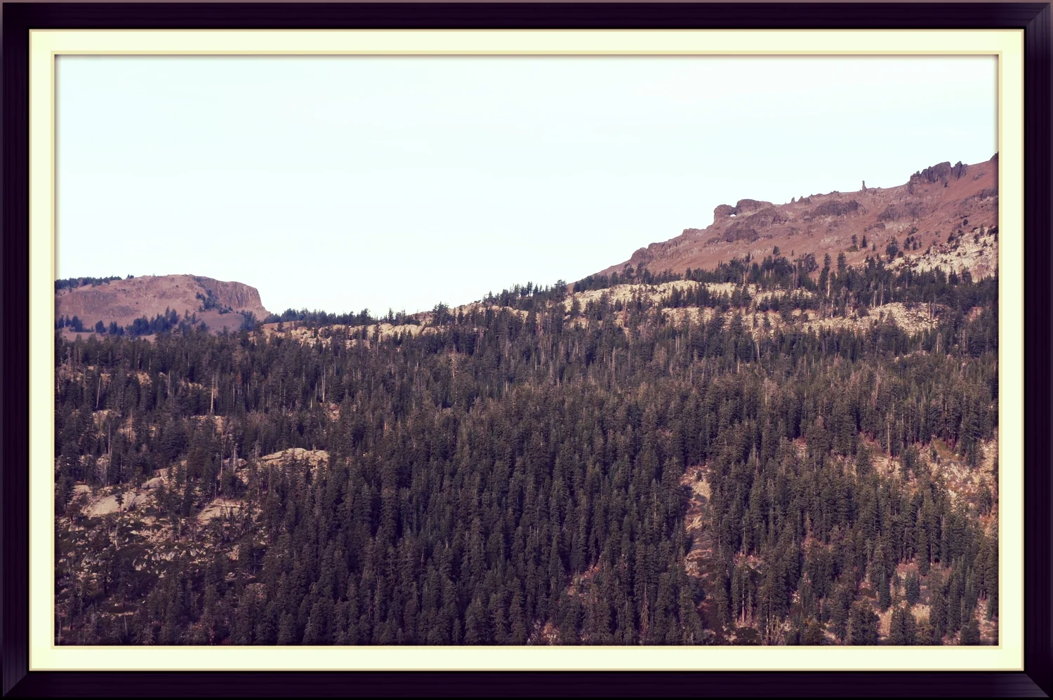 Another one from the Highland Lakes hunting grounds