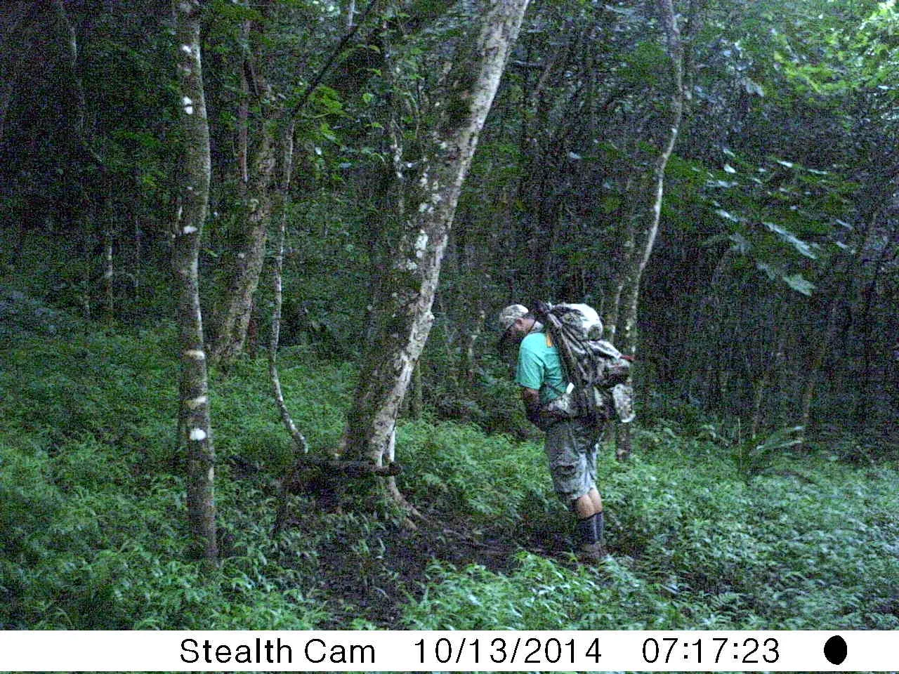 I Have The Wild Hogs Arrival Time, But Still No Pictures.