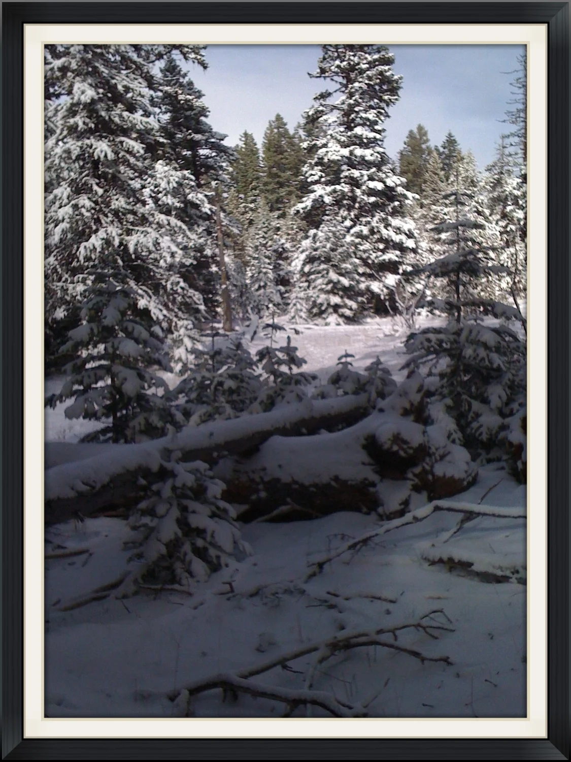 A snowy Elk hunt in Oregon