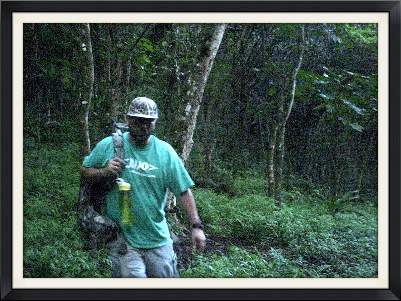 Lower Waimano Trail Retrieving the Game Camera