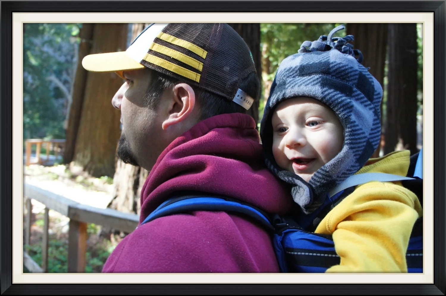  First Hiking Trip in&nbsp; Big Sur California 