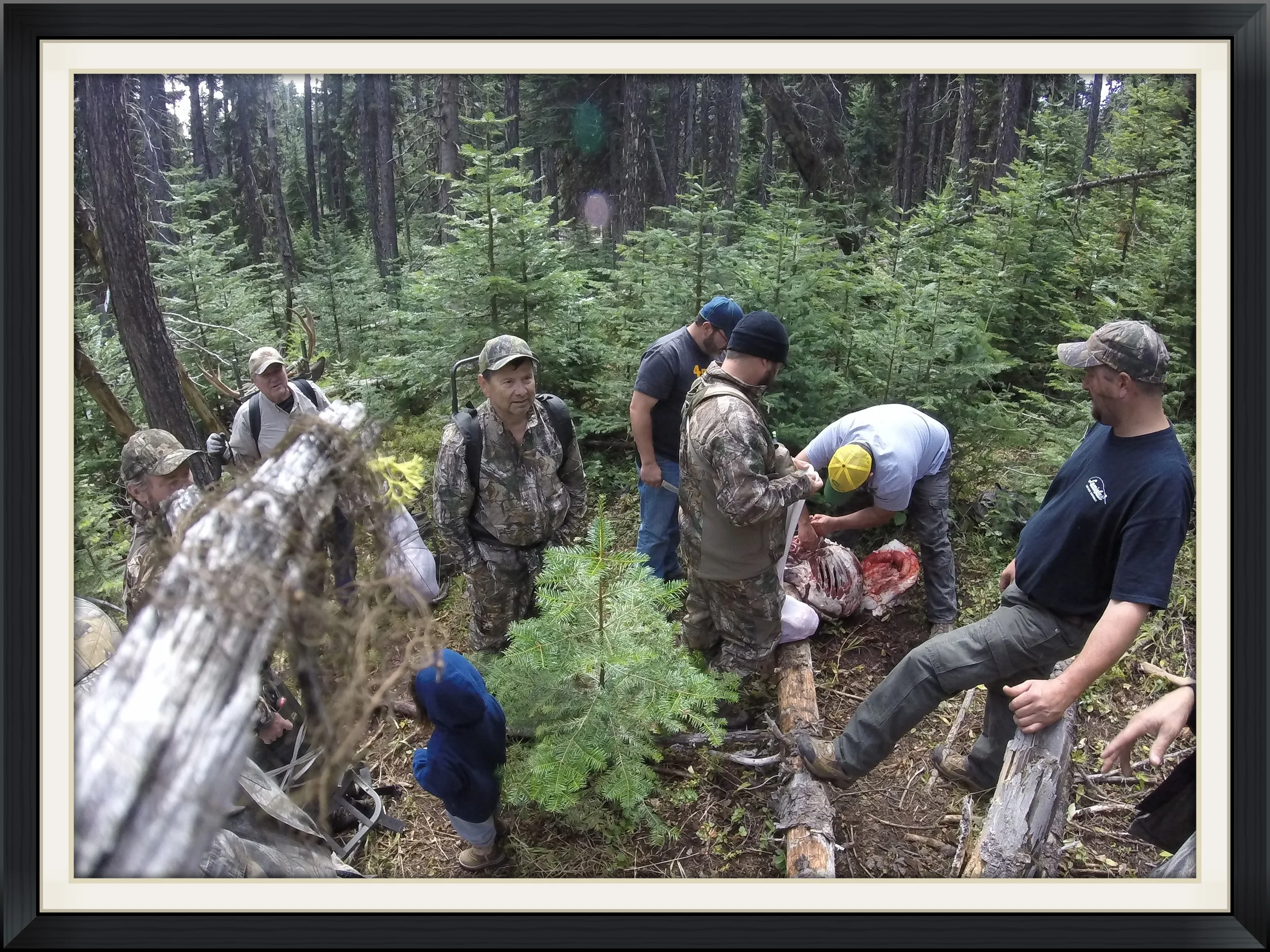 Caping and Quartering a dandy of a mule deer that was harvested by a good friend on our Elk hunt in Oregon 2015