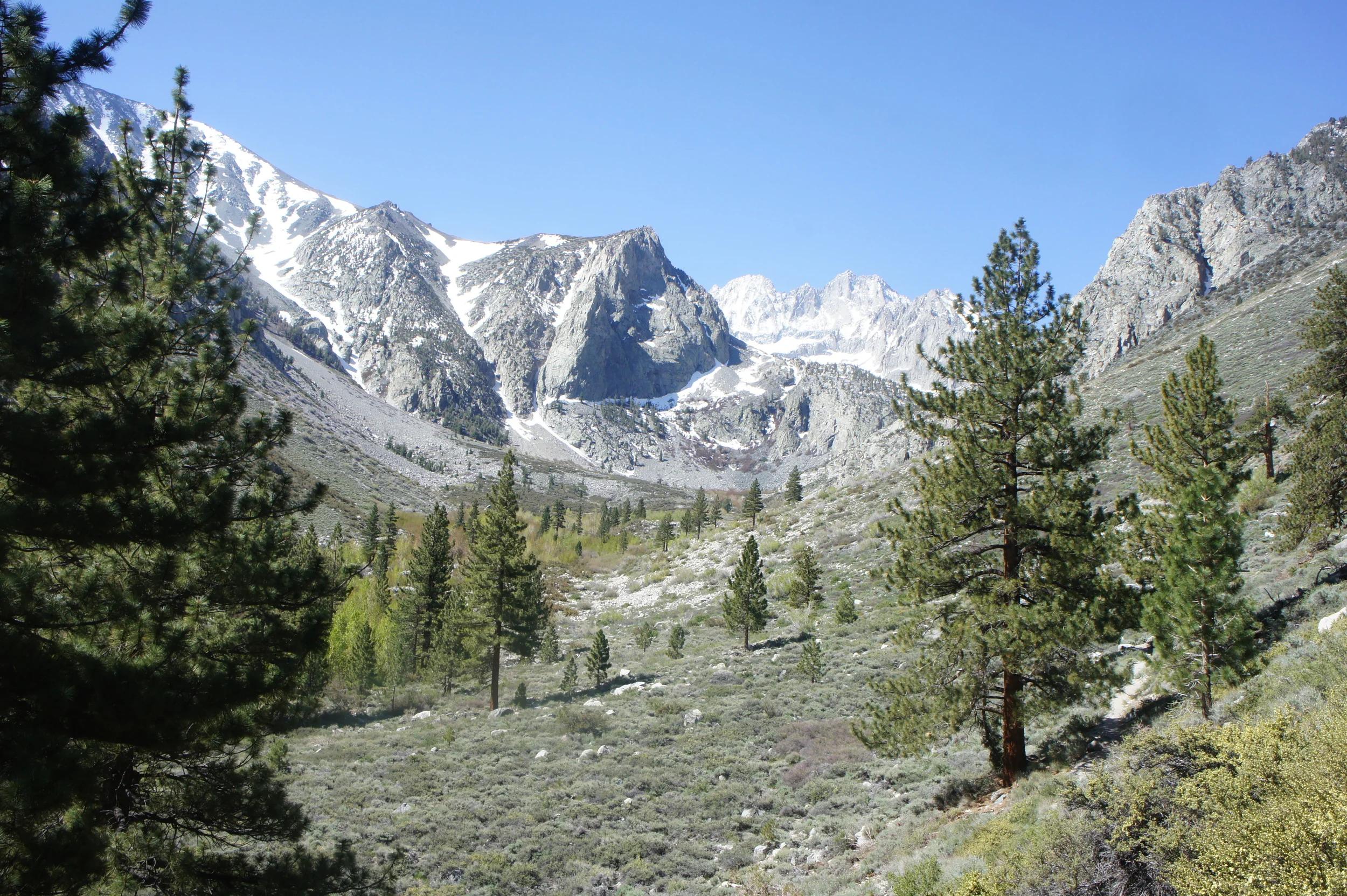 Looking North on the John Muir Trail