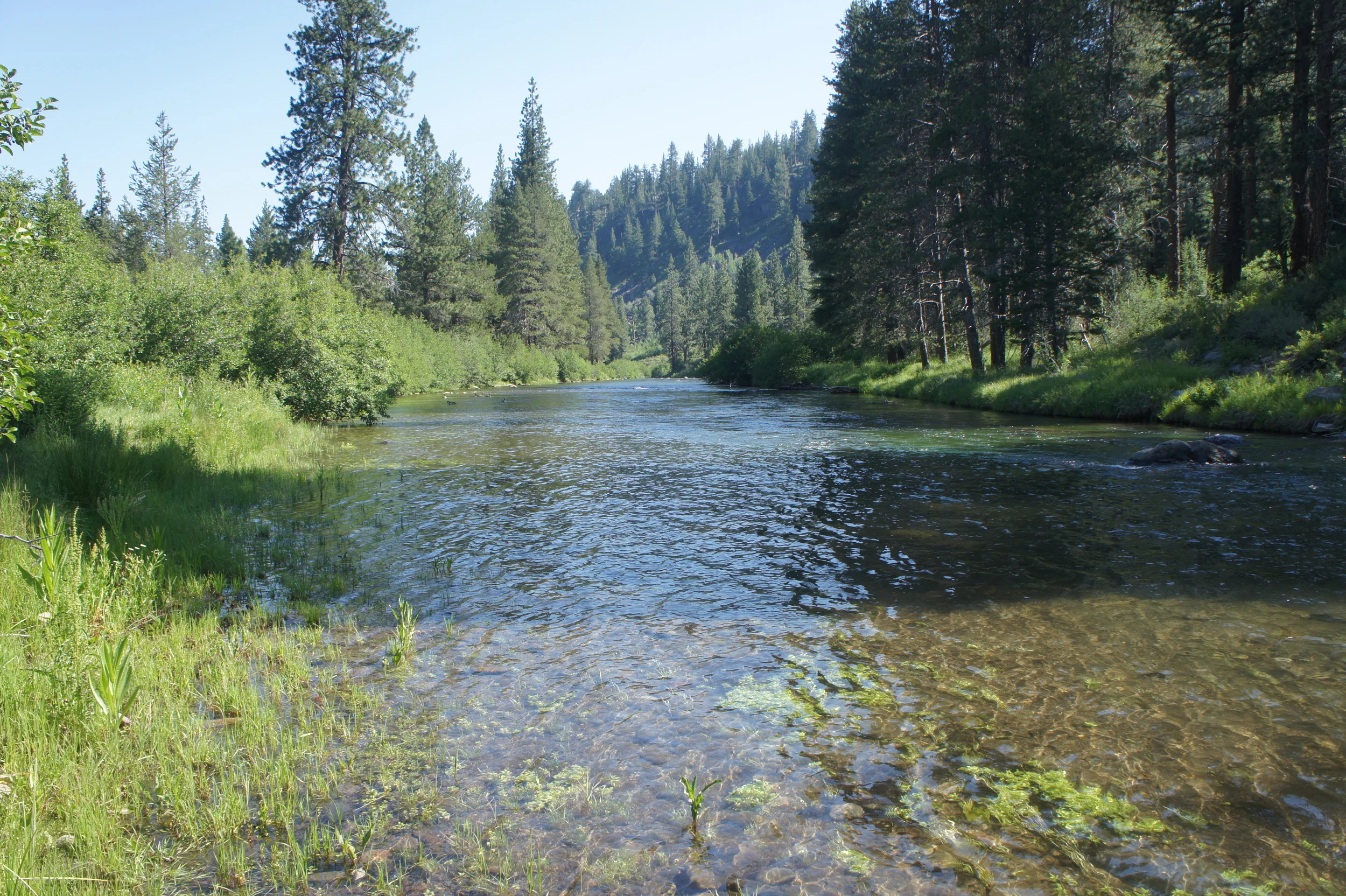 Truckee River, California