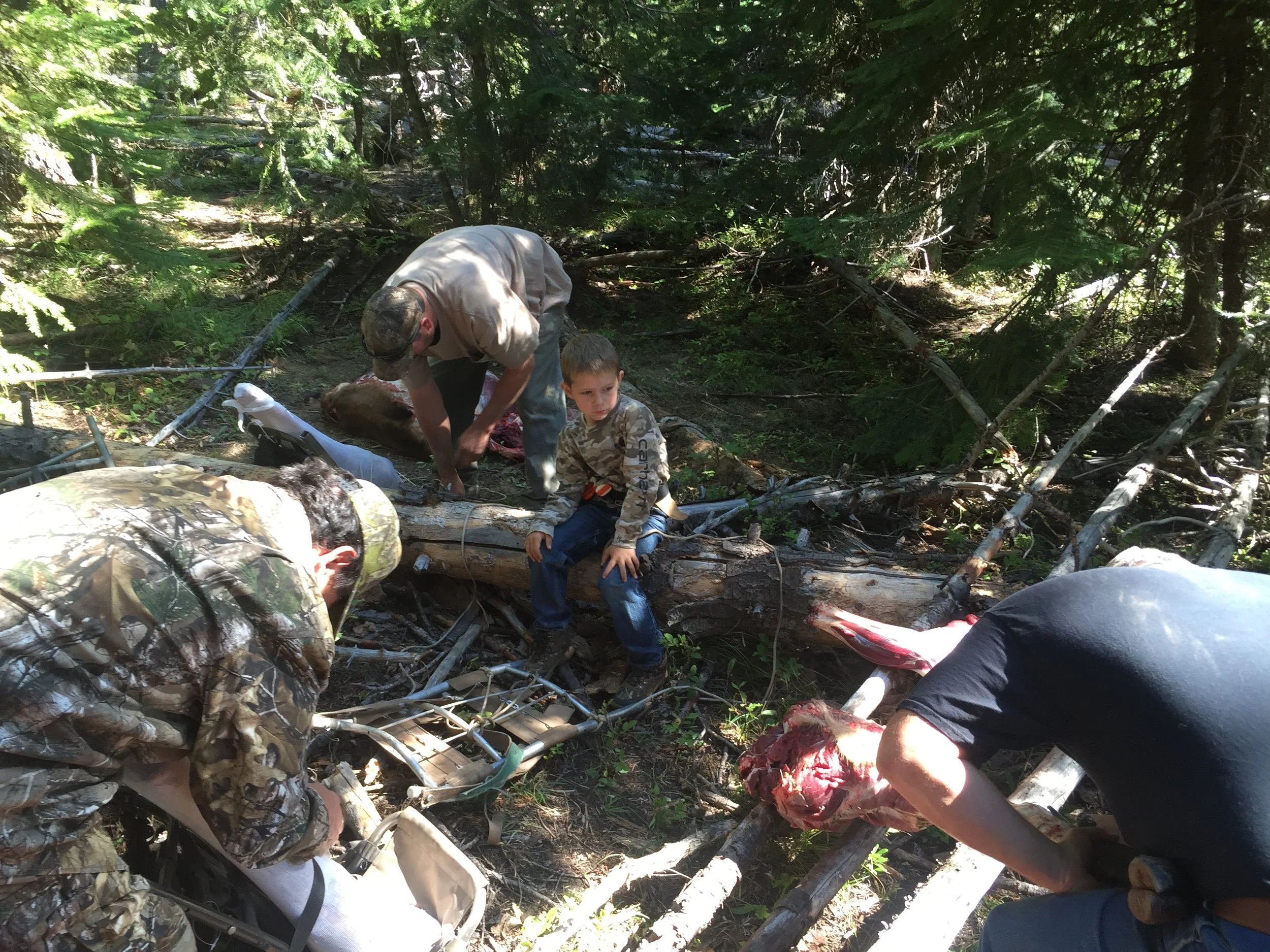 Strapping Up the Packs