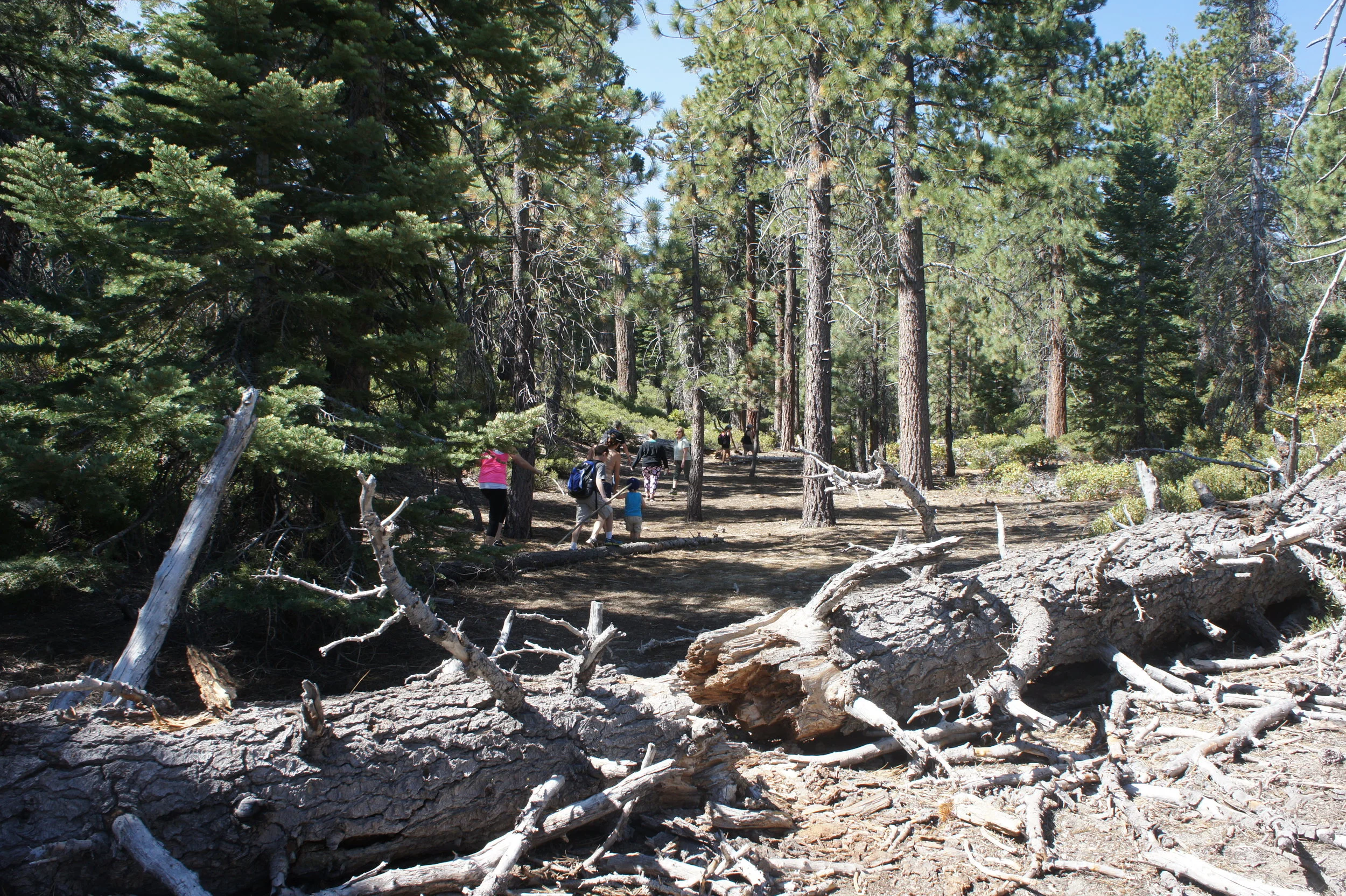 Lake Tahoe Emarld Bay Trail