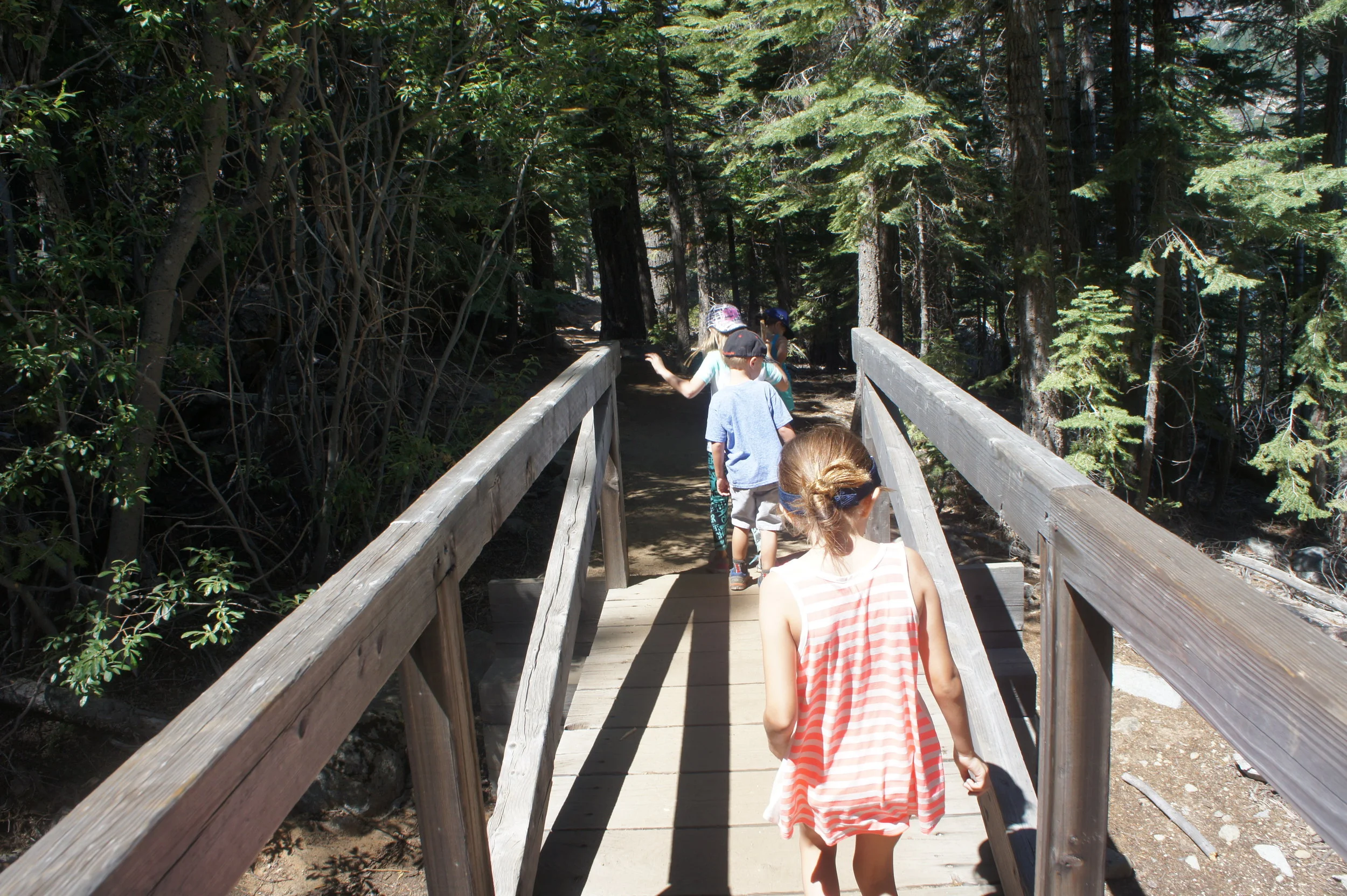 Oregon 2016 042.JPG